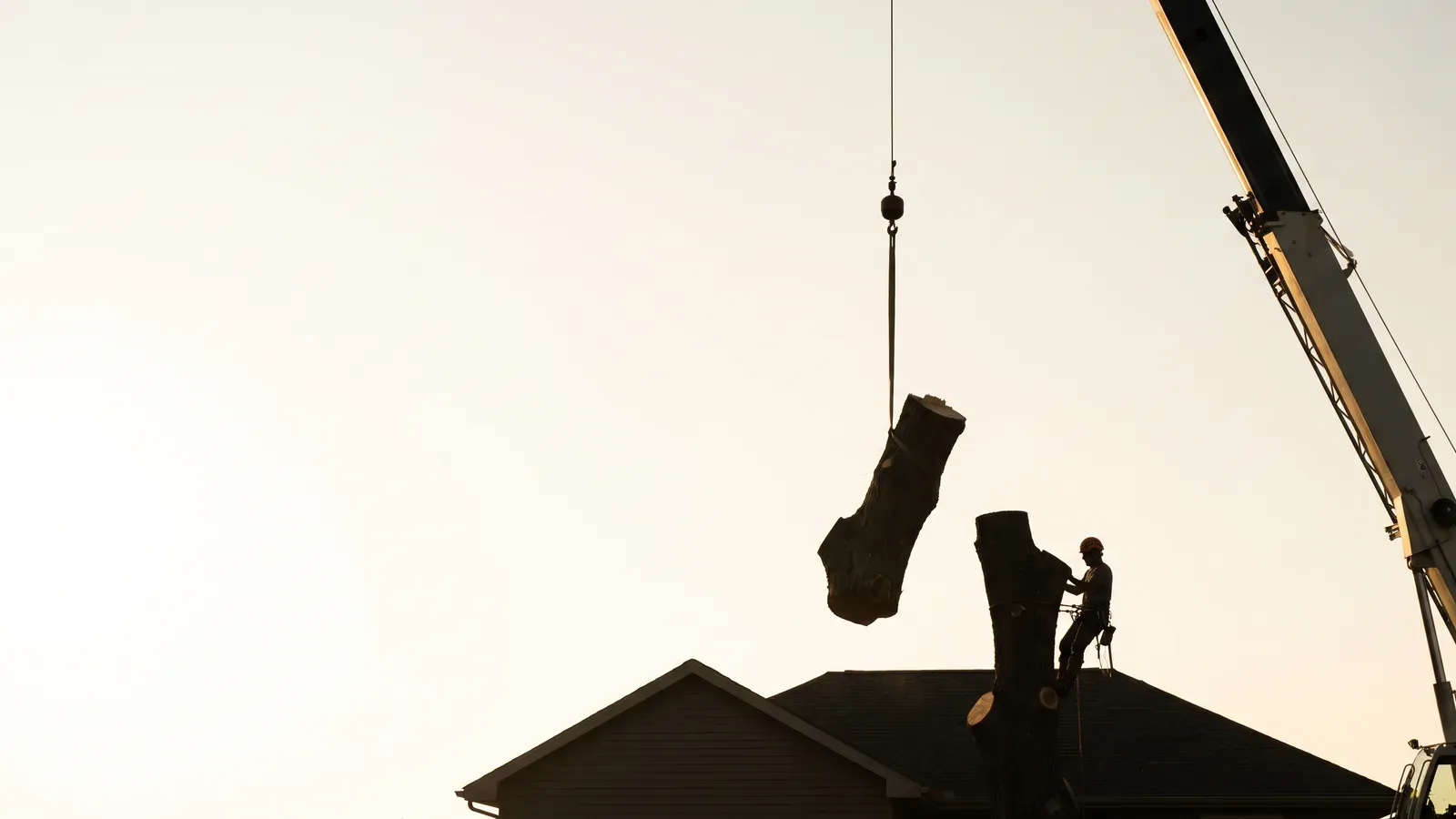 A crane boom lifting a cut section of trunk over a roofline while a climber in a harness braces at the fresh cut